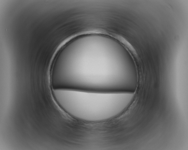 X0000115511380200911060954