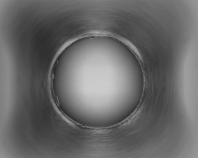 X0000115511381200911060954