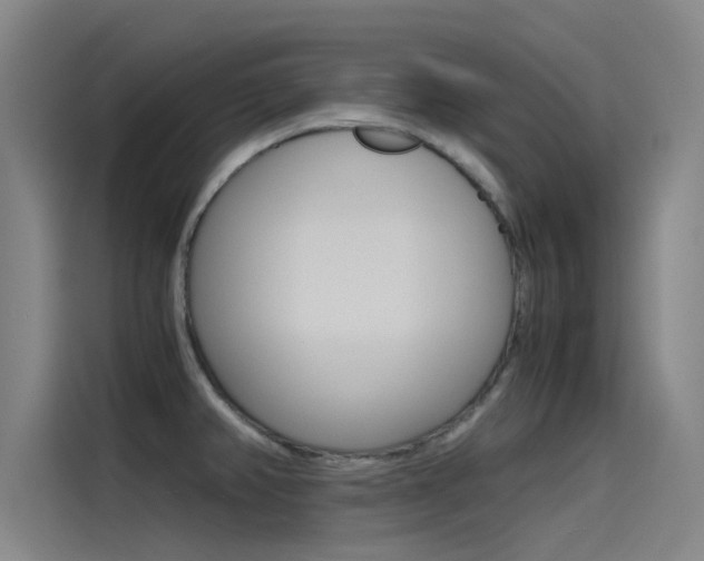 X0000115511382200911060954