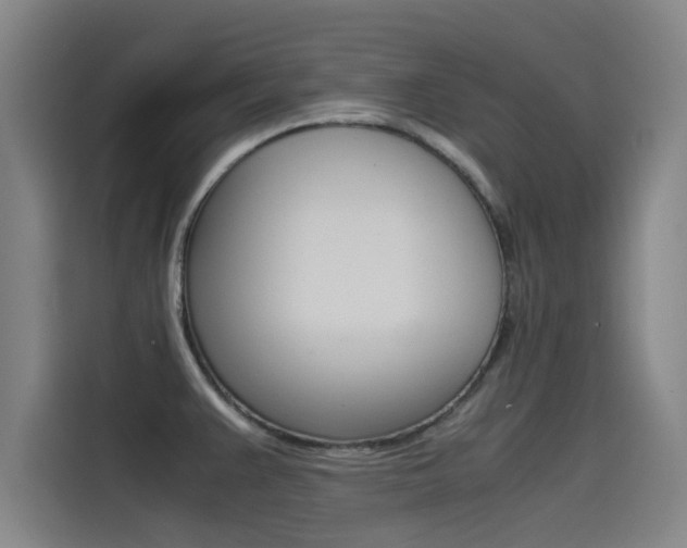 X0000115511383200911060954