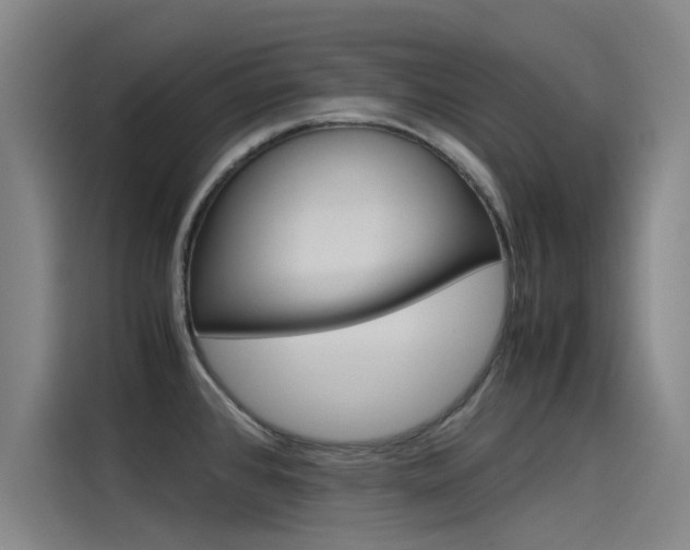 X0000115511384200911060954