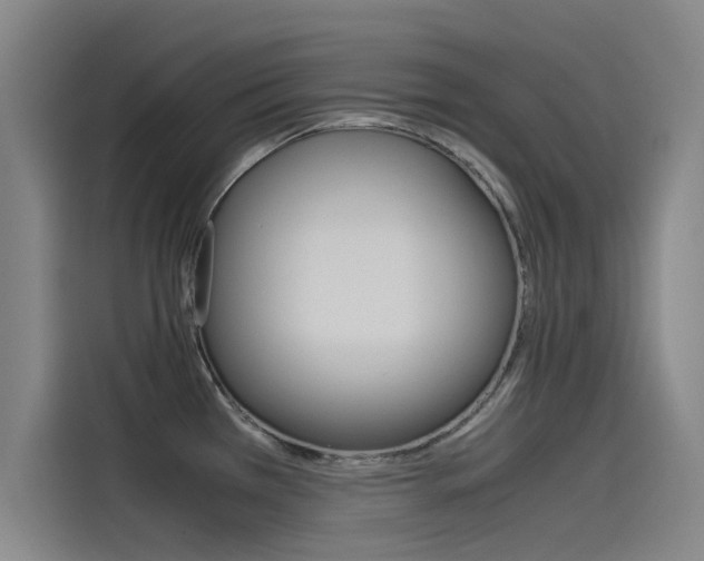 X0000115511385200911060954