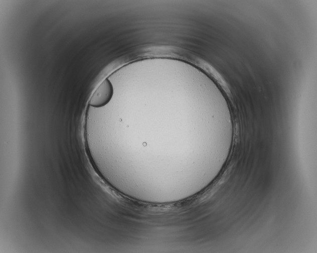 X0000115511386200911060954