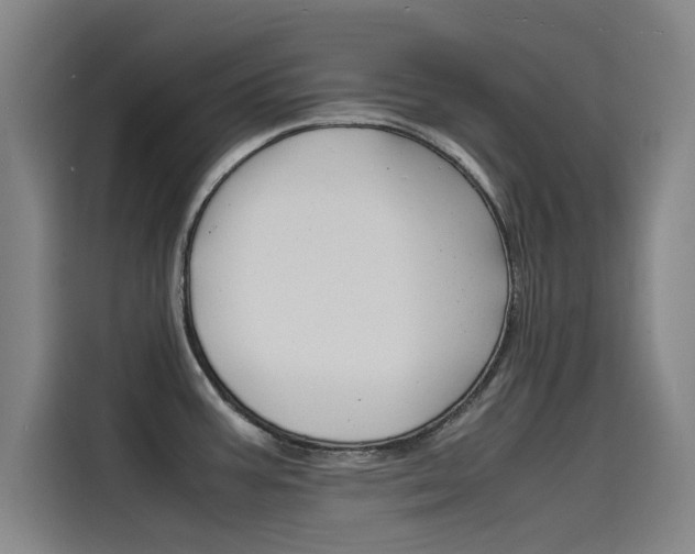 X0000115511387200911060954