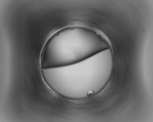 X0000115511388200911060954