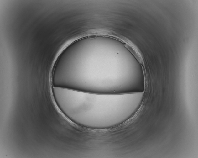 X0000115511389200911060954