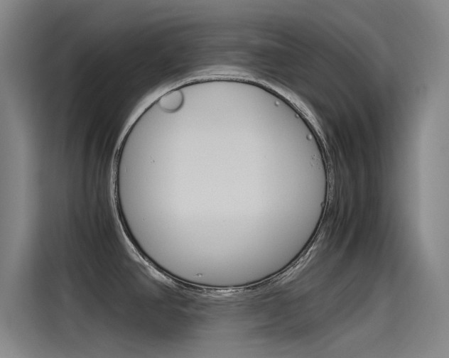 X0000115511390200911060954