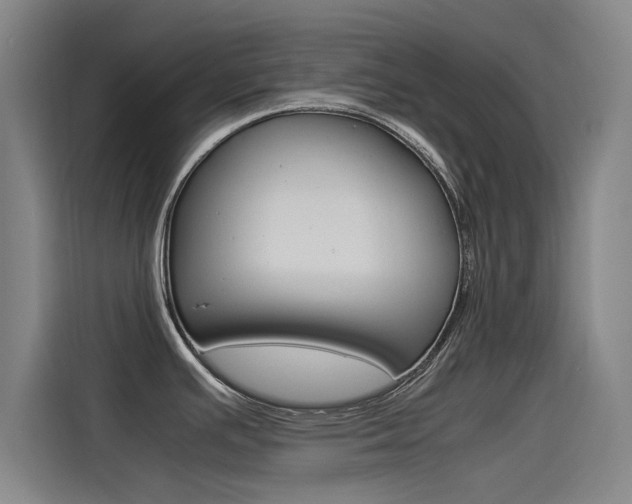 X0000115511391200911060954
