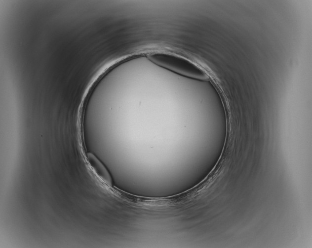 X0000115511392200911060954