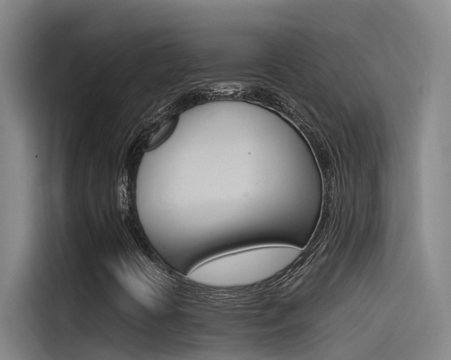 X0000115511394200911060953