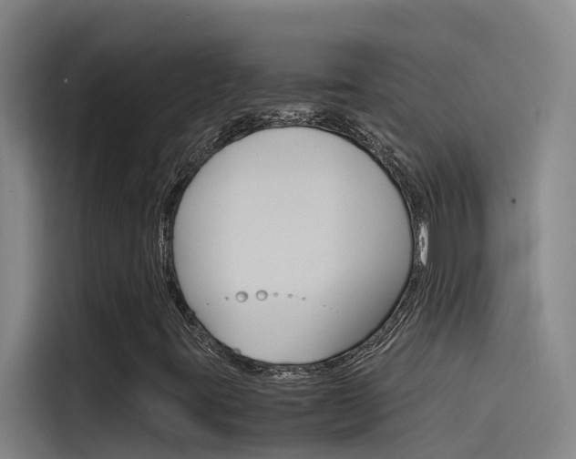 X0000115511395200911060953