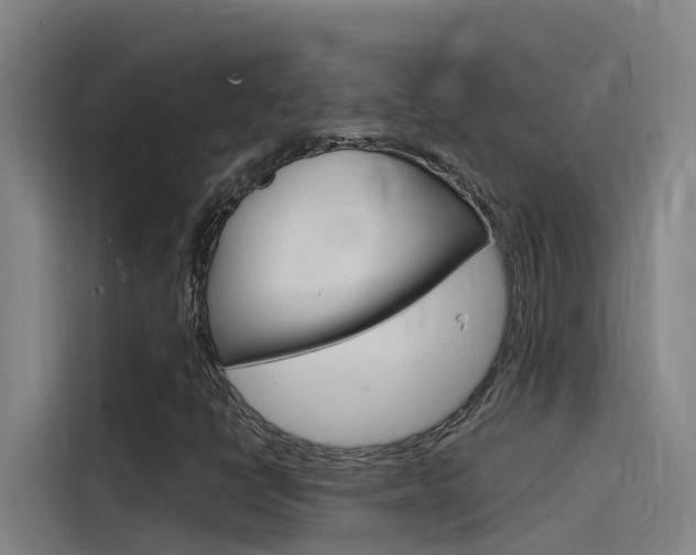 X0000115511398200911060953
