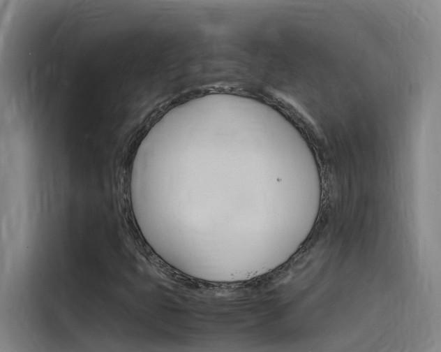X0000115511399200911060953