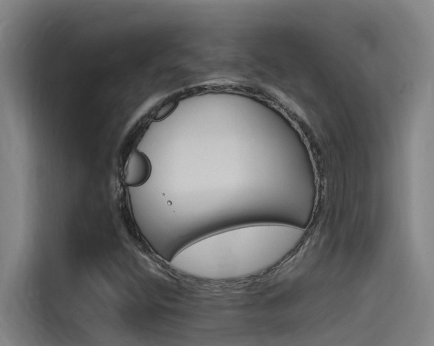 X0000115511400200911060953