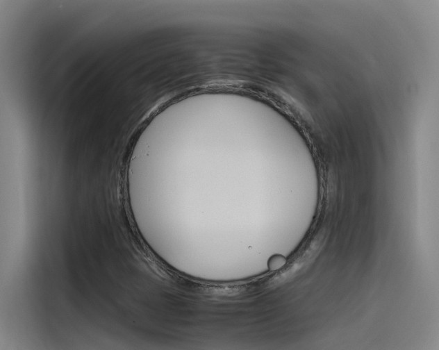X0000115511401200911060953
