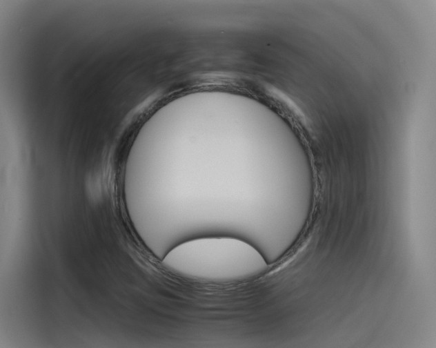 X0000115511403200911060953