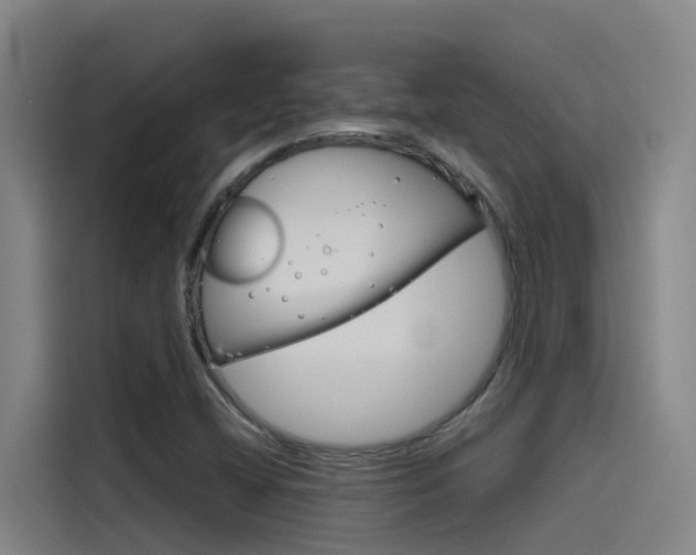 X0000115511404200911060953