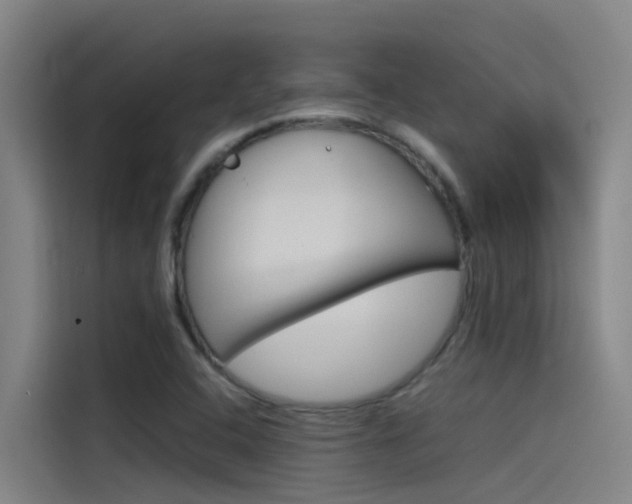 X0000115511408200911060953