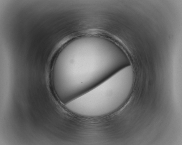 X0000115511410200911060953