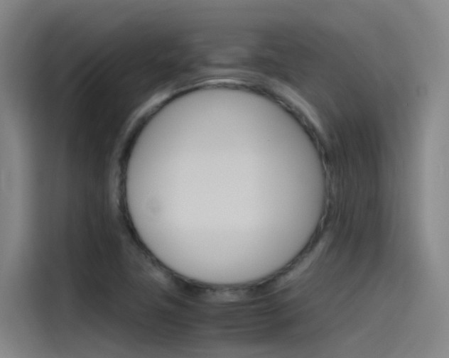 X0000115511411200911060953