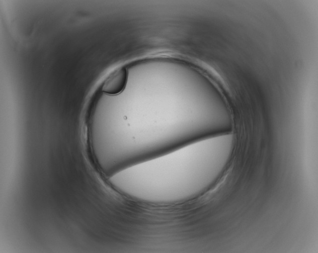 X0000115511414200911060953