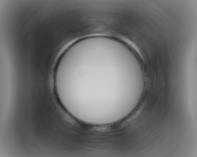 X0000115511415200911060953