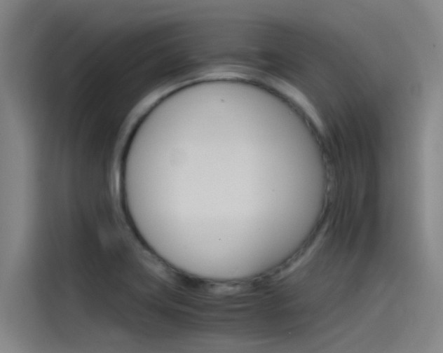 X0000115511419200911060953