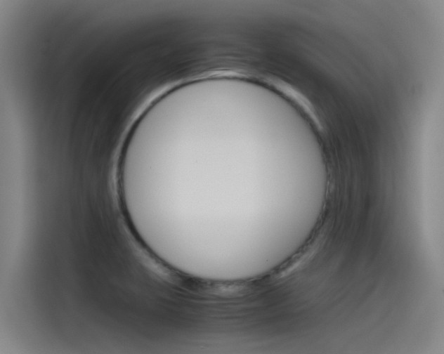 X0000115511423200911060953