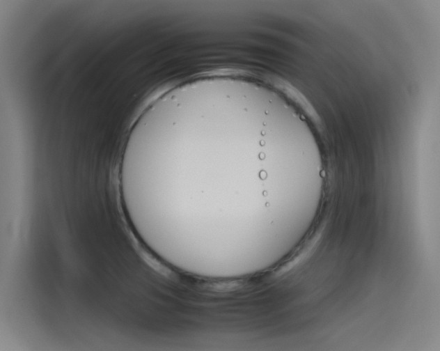 X0000115511425200911060953