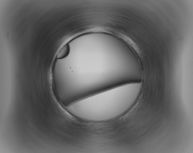 X0000115511428200911060953
