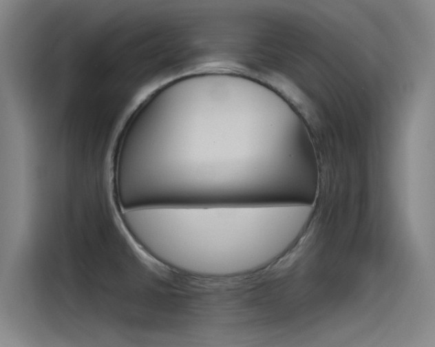 X0000115511430200911060953