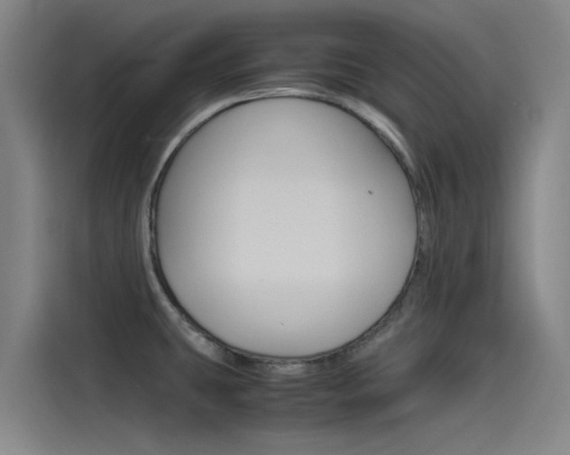 X0000115511431200911060953