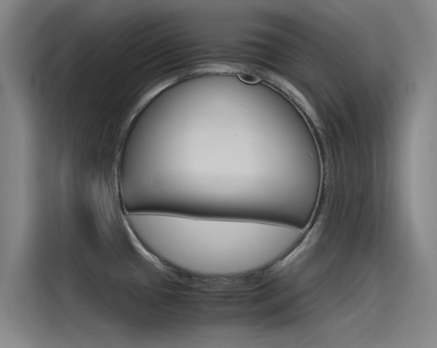 X0000115511433200911060953