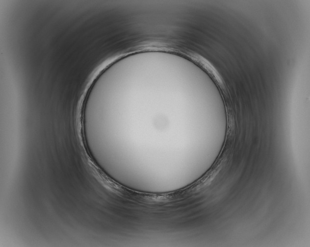 X0000115511435200911060954