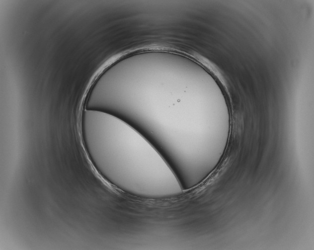 X0000115511437200911060954