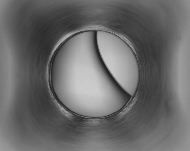 X0000115511438200911060954