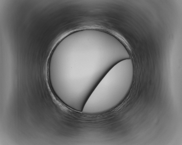 X0000115511439200911060954