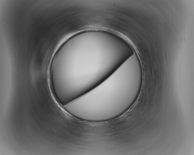 X0000115511440200911060954