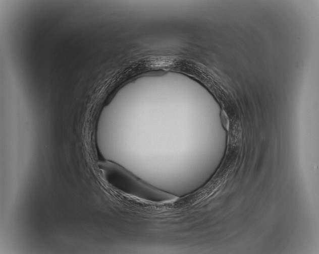 X0000115511441200911060953
