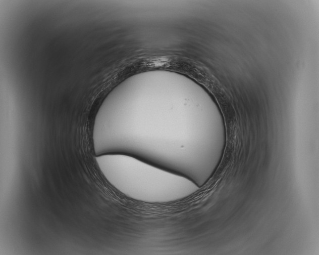 X0000115511442200911060953