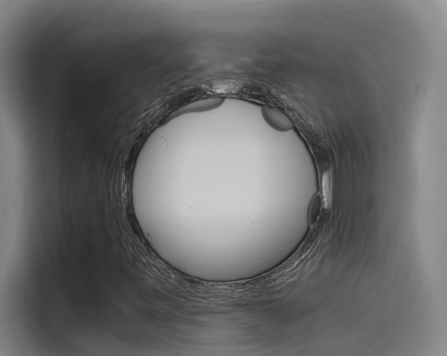 X0000115511443200911060953