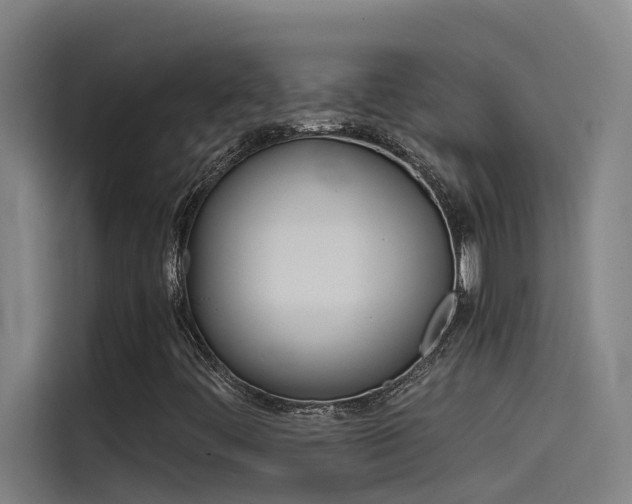X0000115511444200911060953