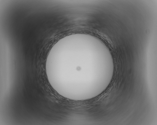 X0000115511445200911060953
