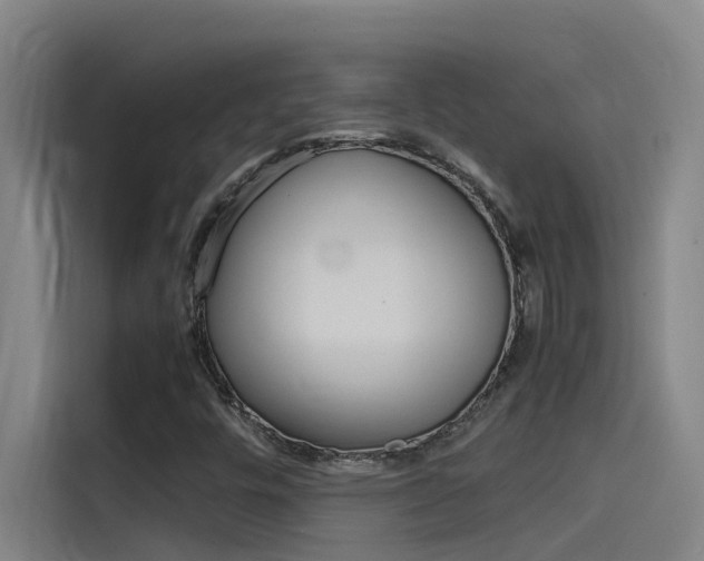 X0000115511448200911060953