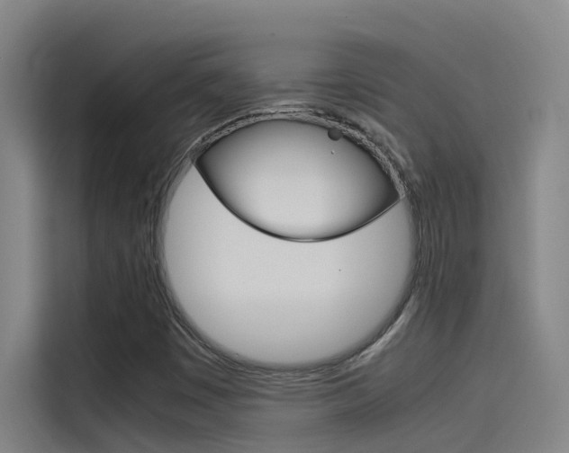 X0000115511449200911060953