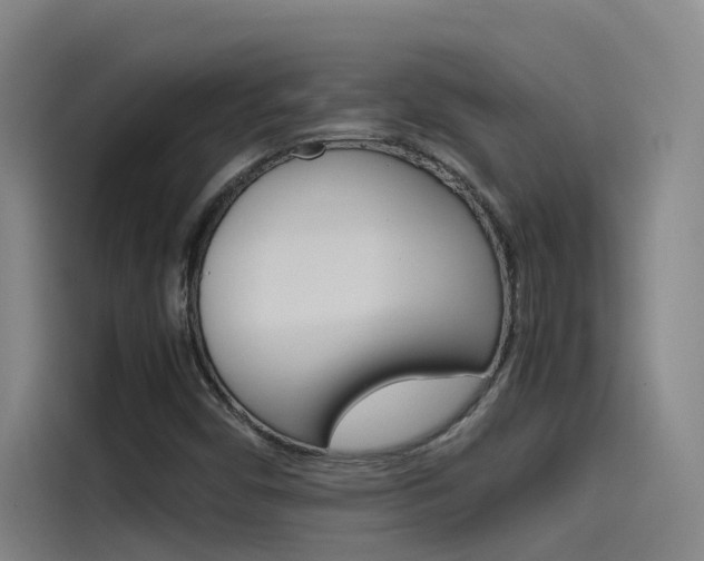X0000115511450200911060953