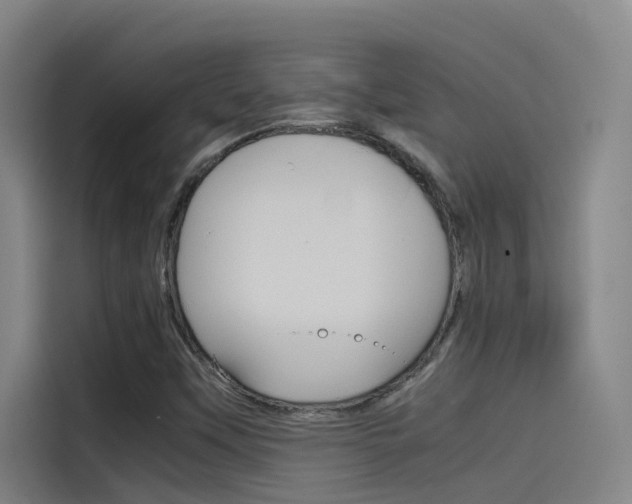 X0000115511451200911060953