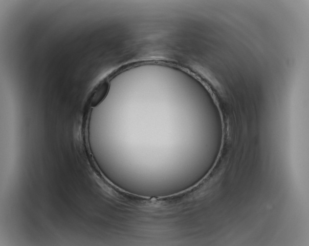 X0000115511452200911060953