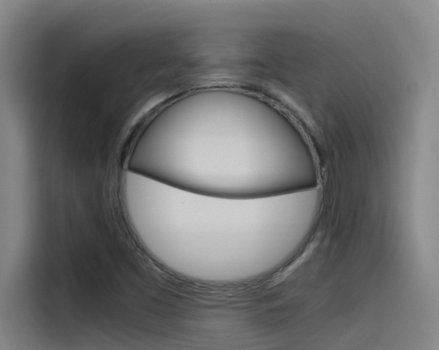 X0000115511453200911060953