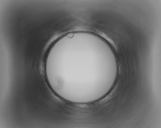 X0000115511454200911060953